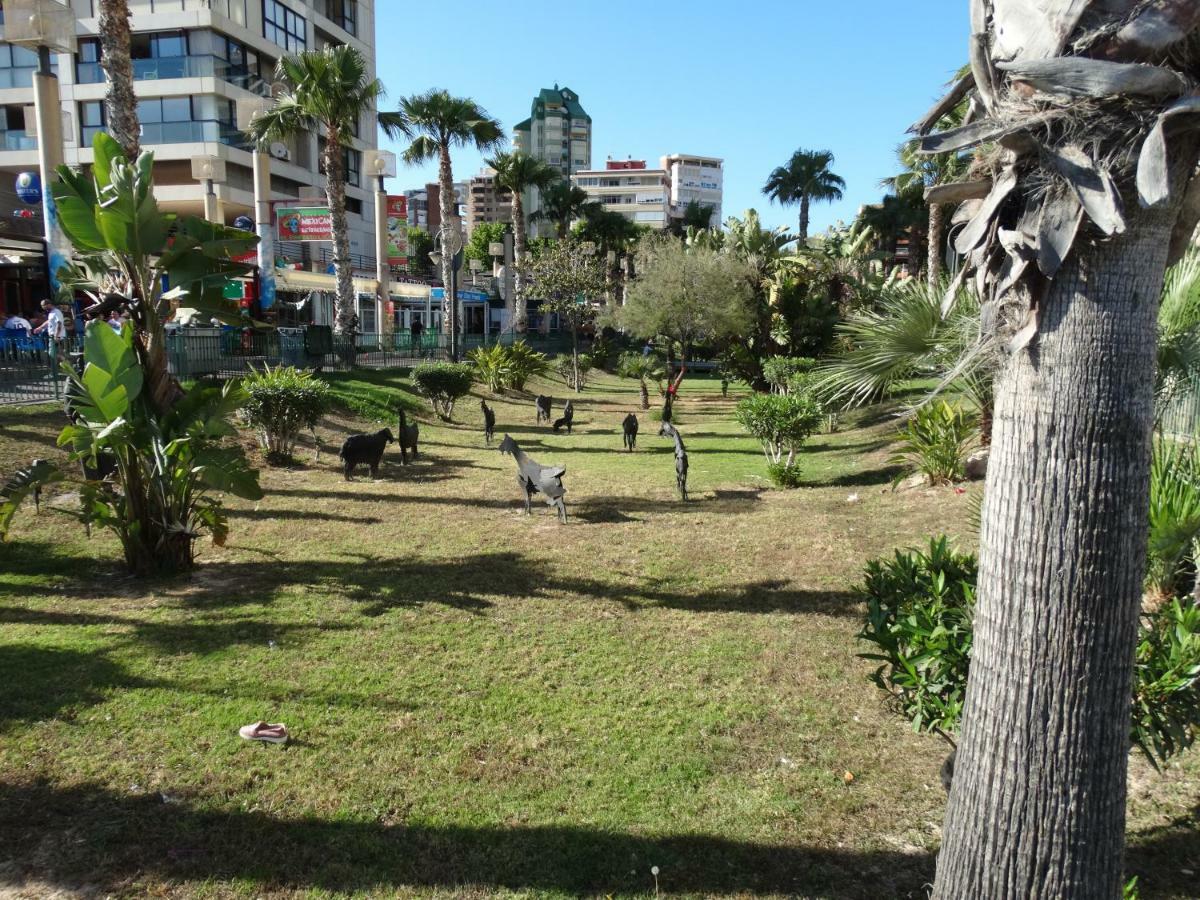 Apartment 2 Bedrooms, 250M Levante Beach 貝尼多姆 外观 照片
